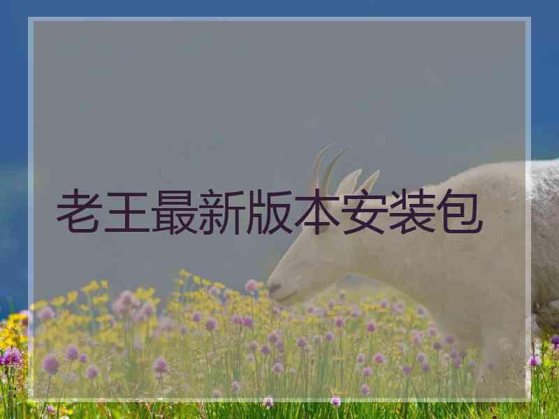 老王最新版本安装包