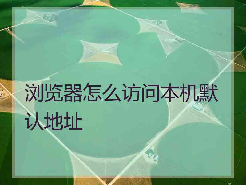 浏览器怎么访问本机默认地址