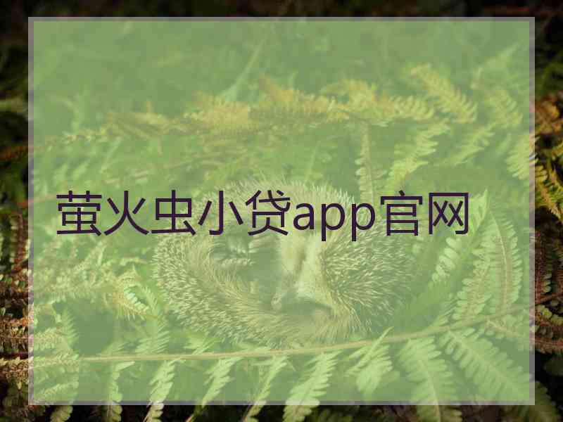 萤火虫小贷app官网