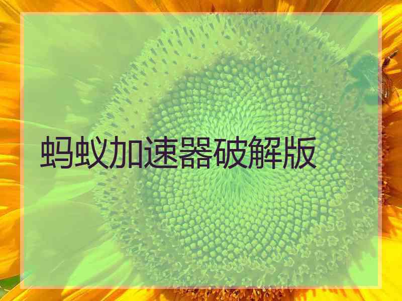 蚂蚁加速器破解版