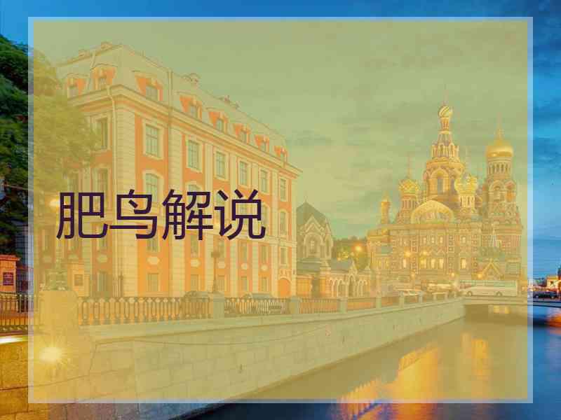 肥鸟解说
