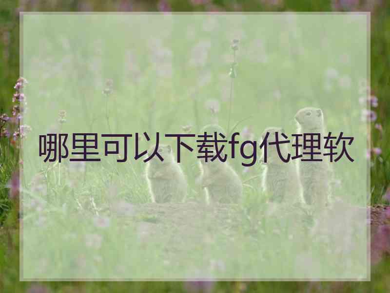 哪里可以下载fg代理软