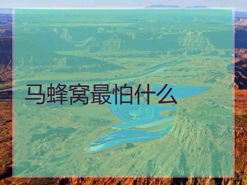 马蜂窝最怕什么