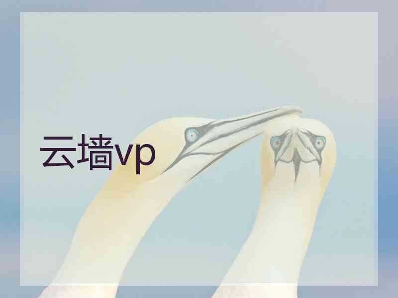 云墙vp