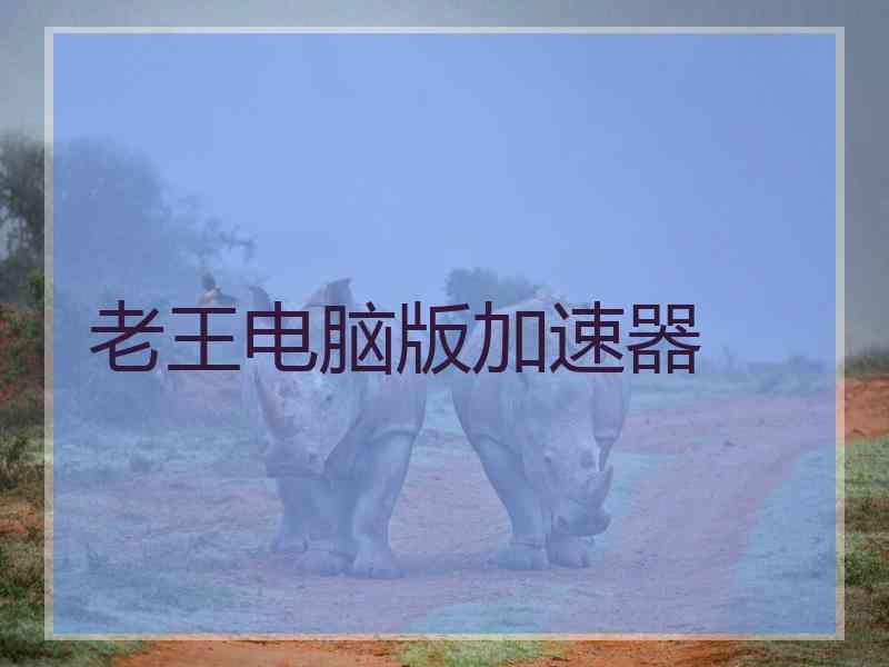 老王电脑版加速器
