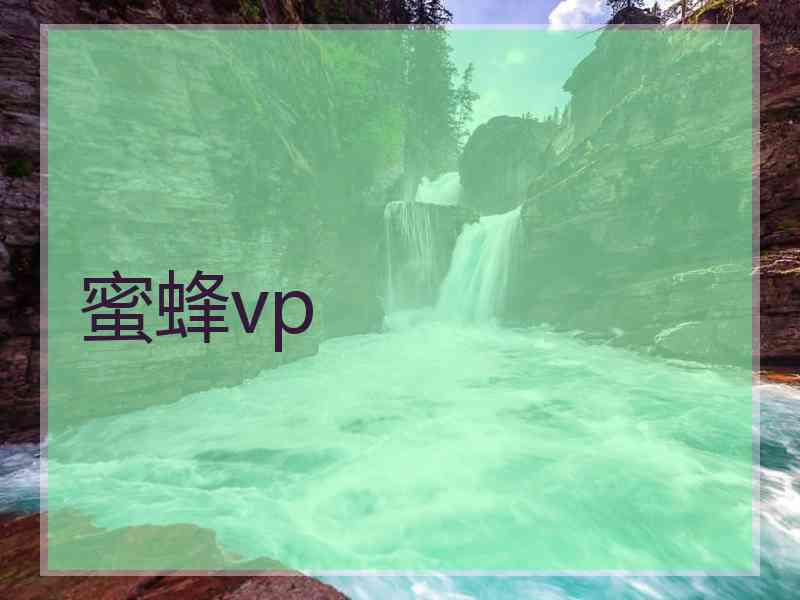 蜜蜂vp