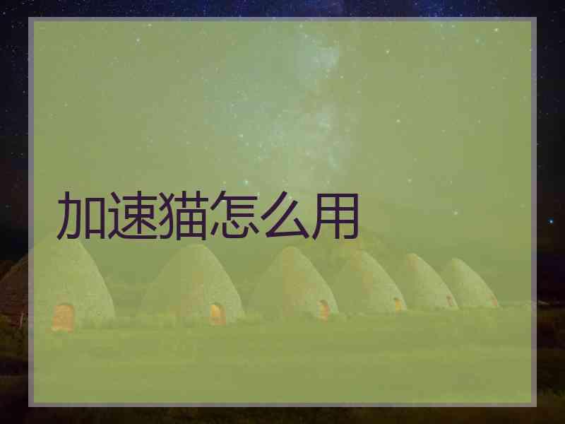 加速猫怎么用