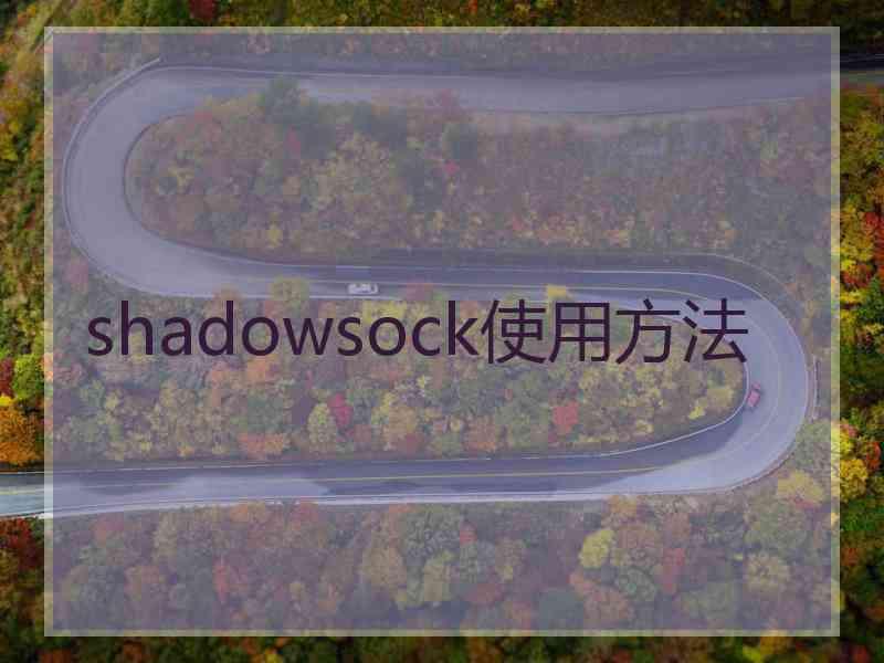 shadowsock使用方法