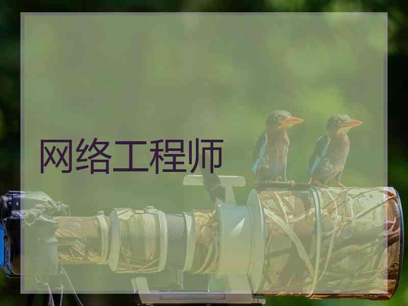 网络工程师