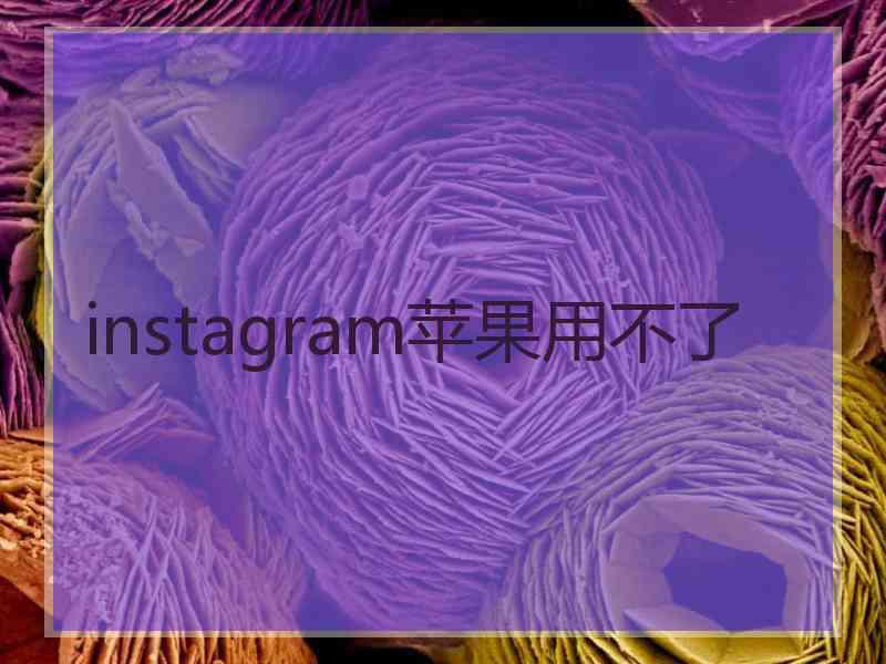 instagram苹果用不了