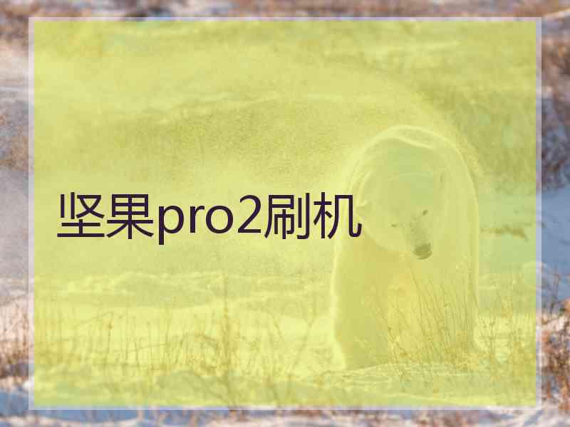 坚果pro2刷机