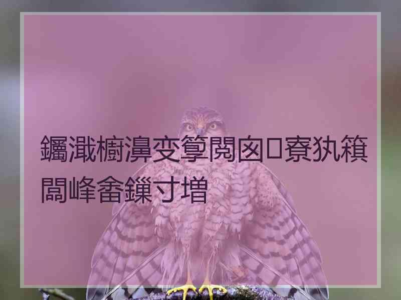 钃濈櫥濞变箰閲囪寮犱簯闆峰畬鏁寸増