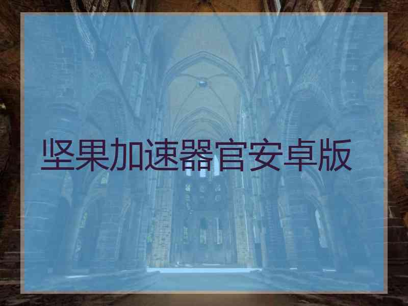 坚果加速器官安卓版