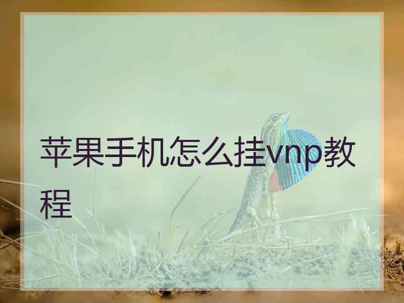 苹果手机怎么挂vnp教程