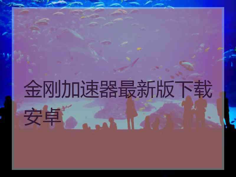 金刚加速器最新版下载安卓