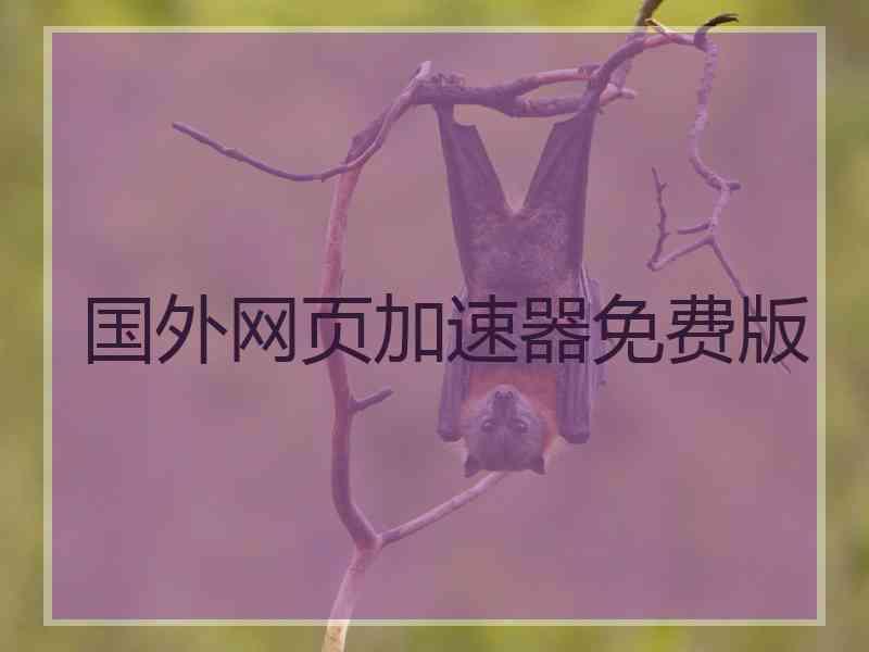 国外网页加速器免费版