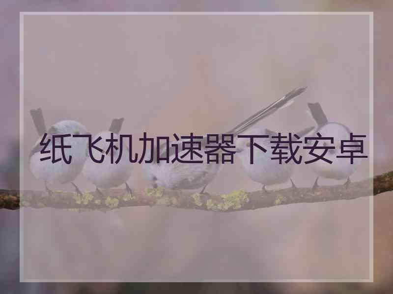 纸飞机加速器下载安卓