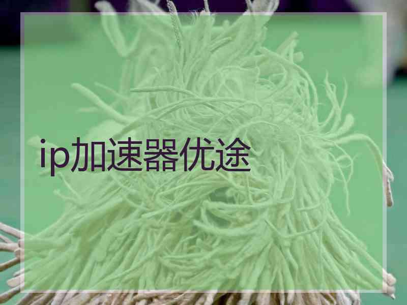 ip加速器优途