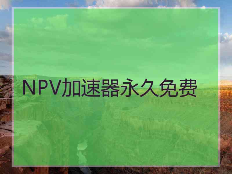 NPV加速器永久免费