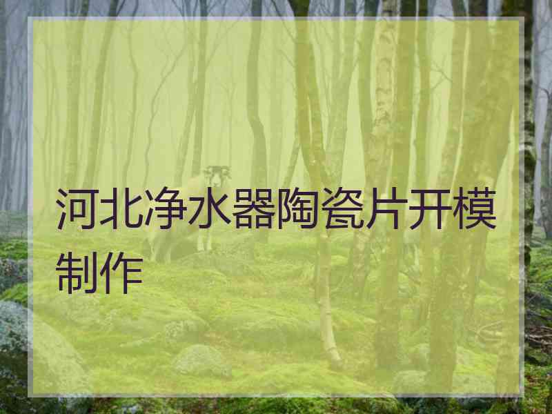 河北净水器陶瓷片开模制作