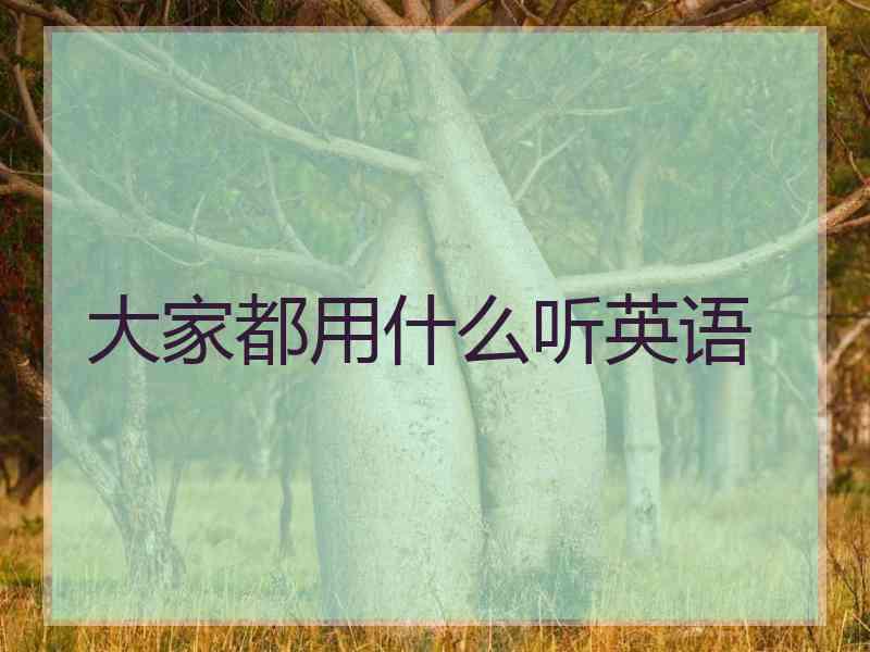 大家都用什么听英语