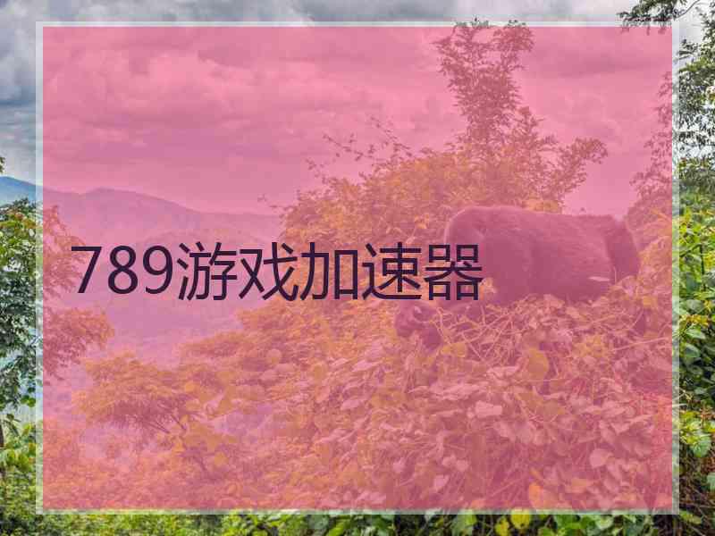 789游戏加速器