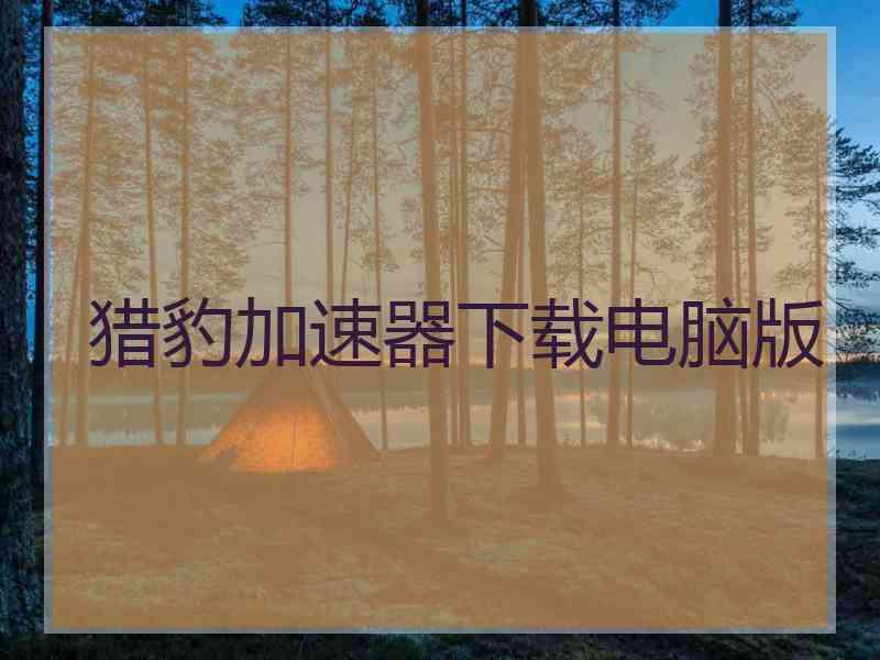 猎豹加速器下载电脑版