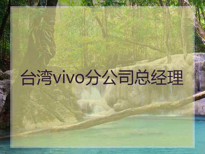 台湾vivo分公司总经理
