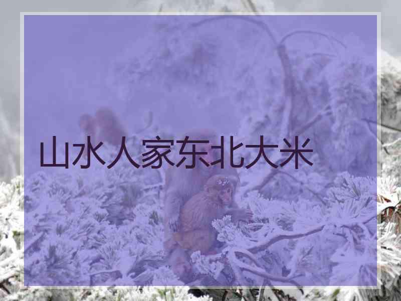 山水人家东北大米