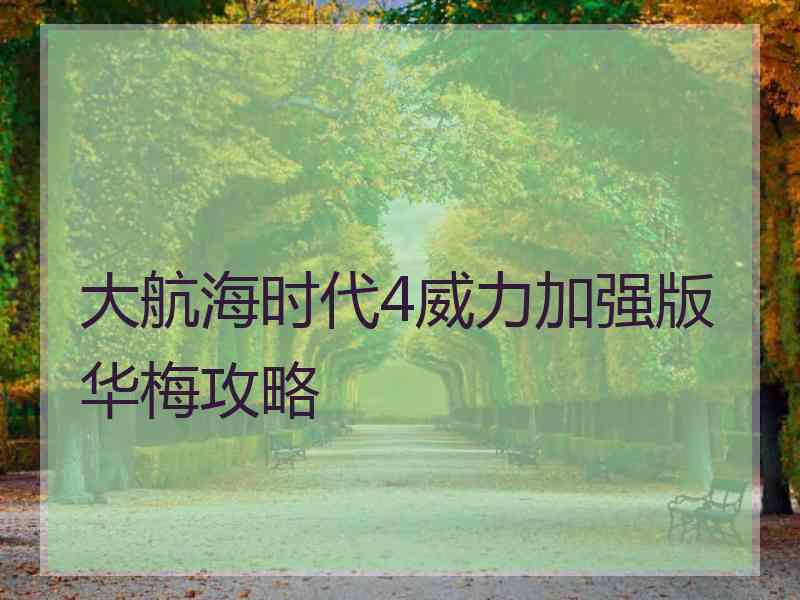 大航海时代4威力加强版华梅攻略