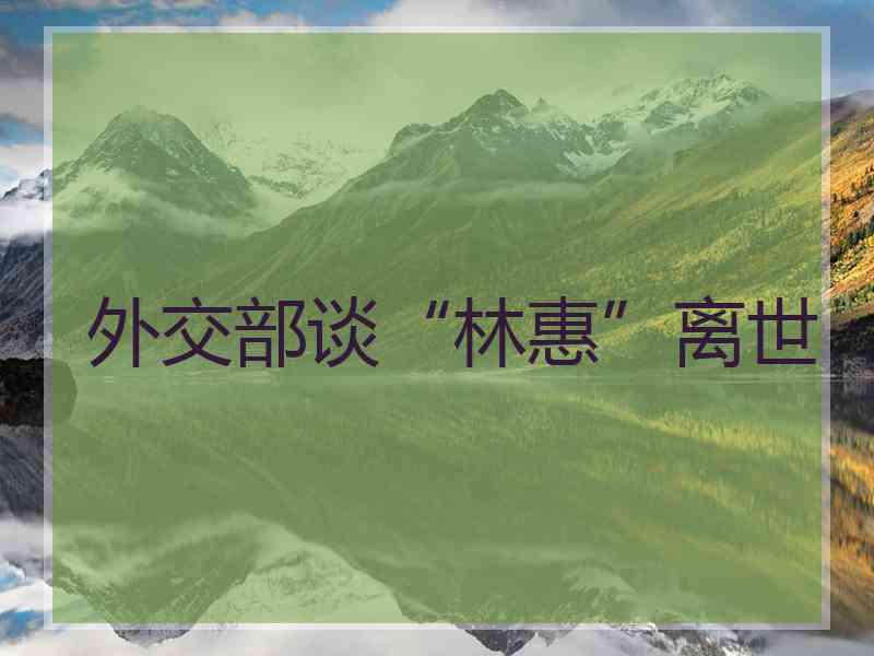 外交部谈“林惠”离世