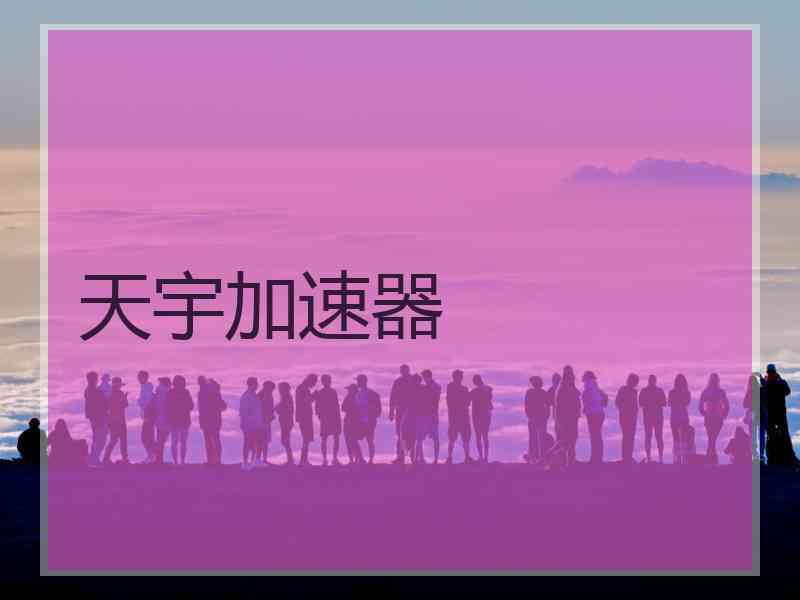 天宇加速器