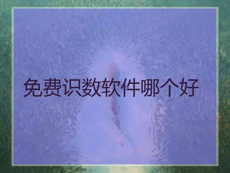 免费识数软件哪个好