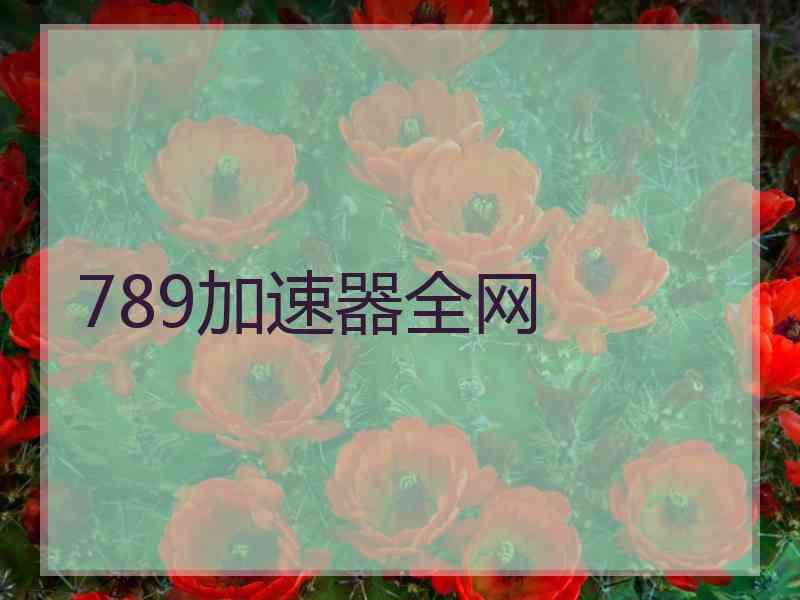 789加速器全网