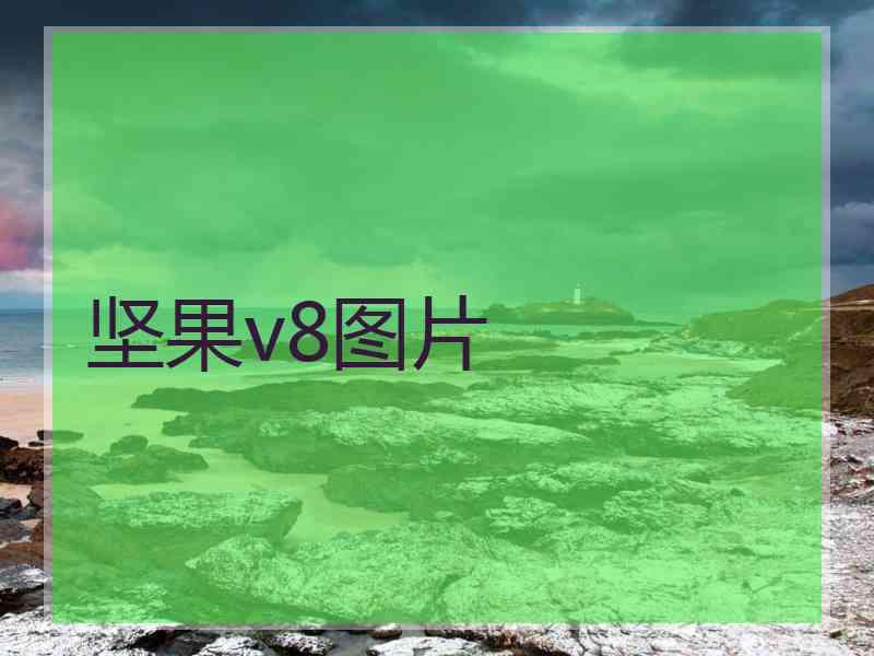 坚果v8图片