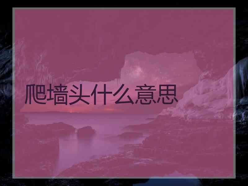 爬墙头什么意思