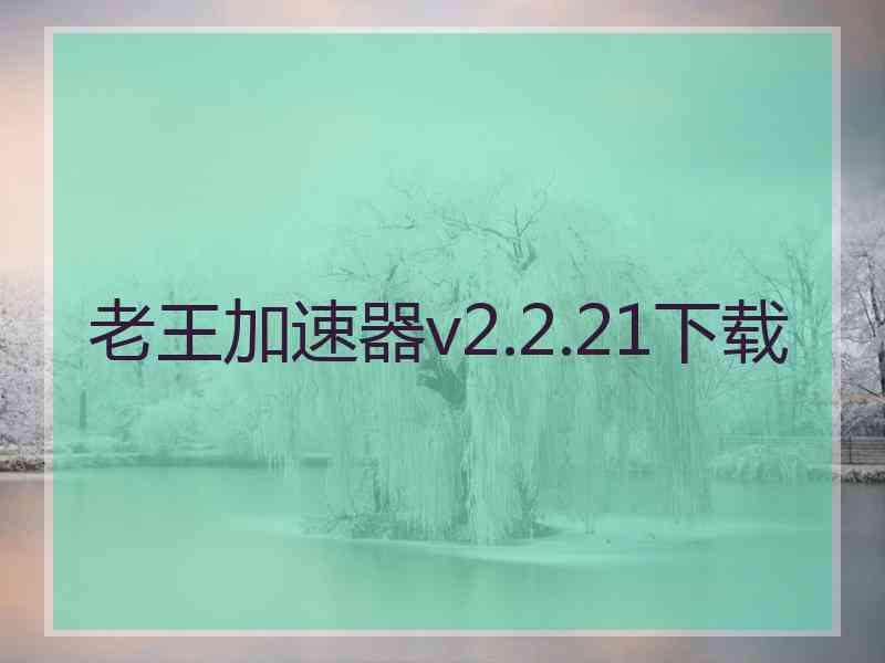 老王加速器v2.2.21下载