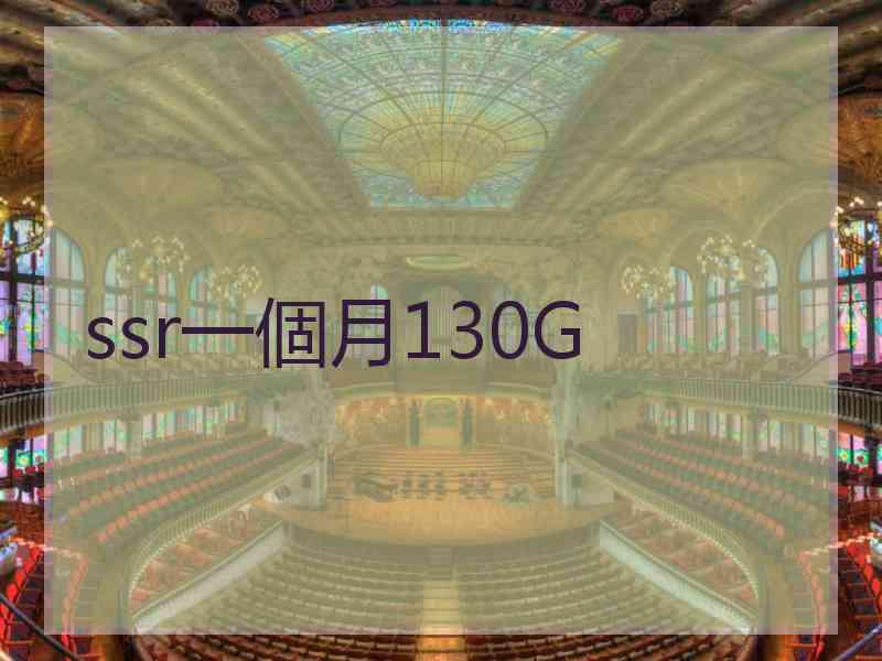 ssr一個月130G