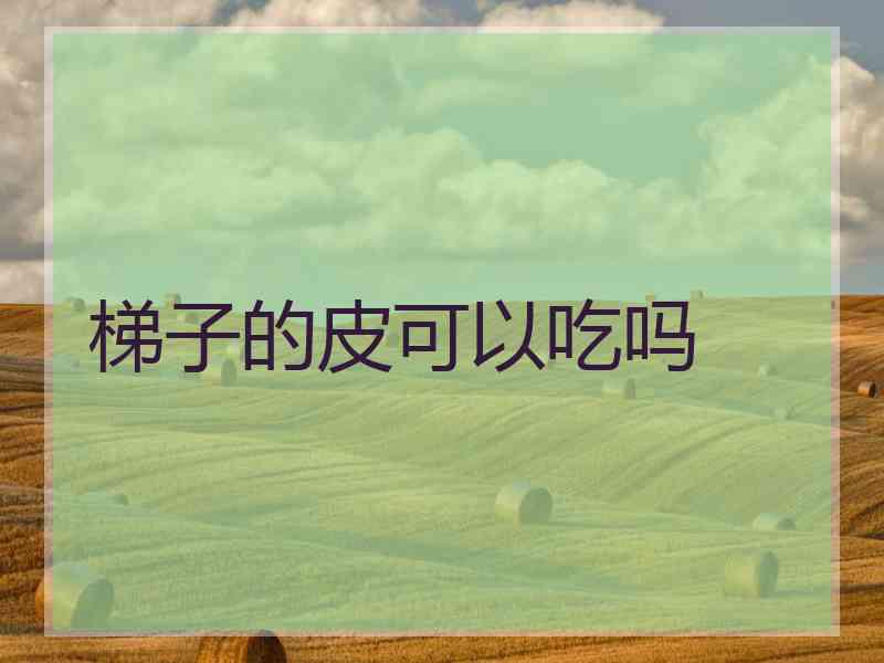 梯子的皮可以吃吗