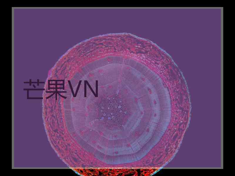 芒果VN