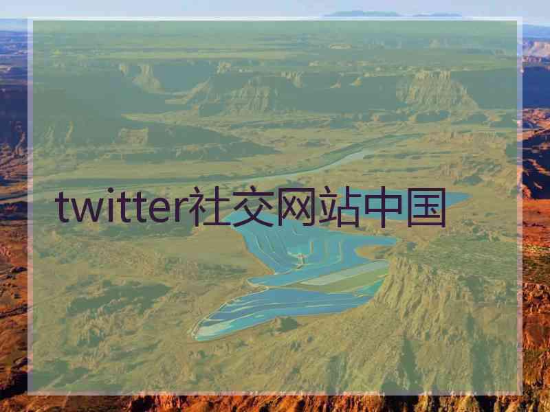 twitter社交网站中国