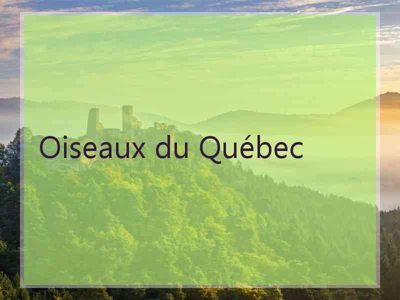 Oiseaux du Québec