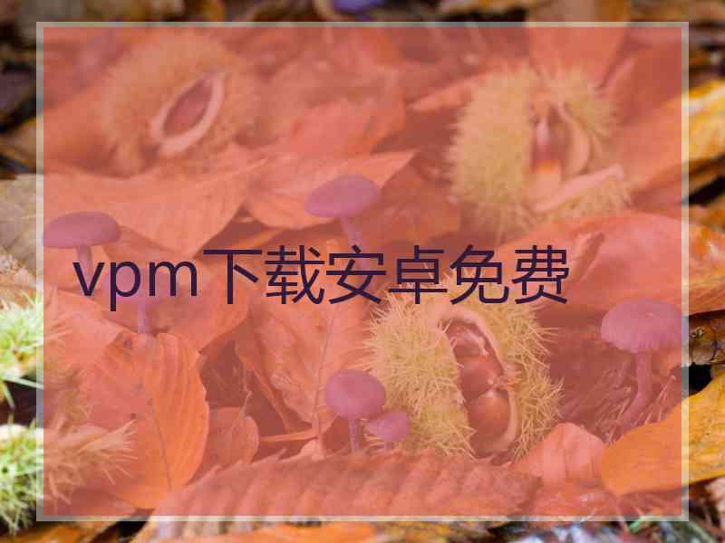 vpm下载安卓免费