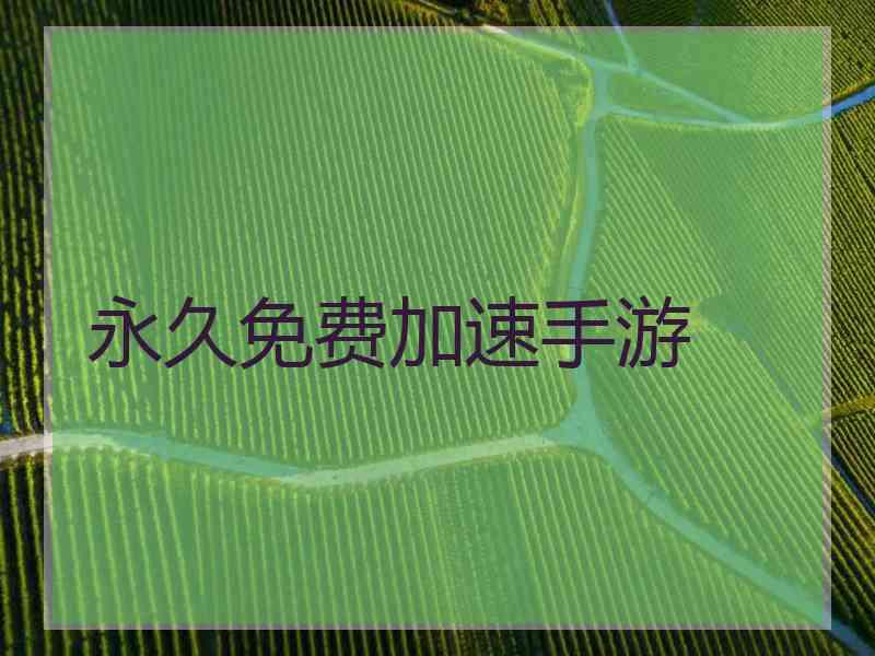 永久免费加速手游