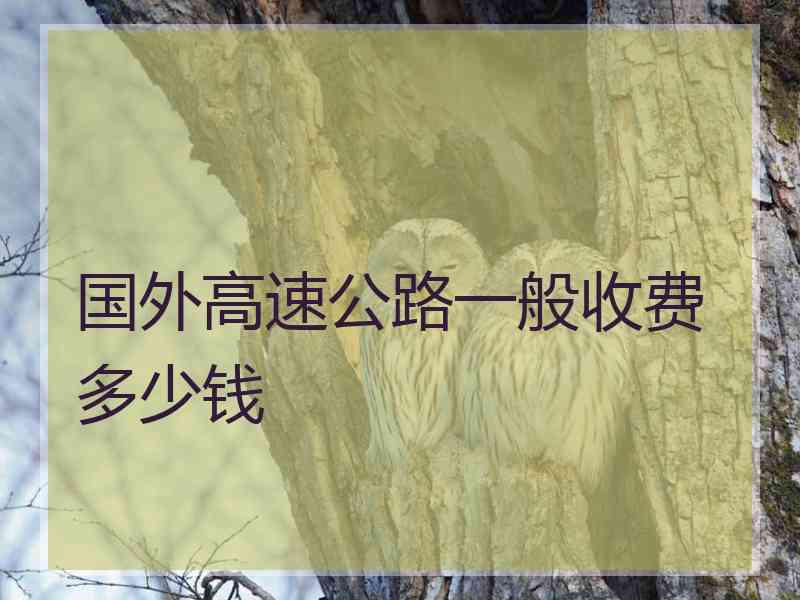 国外高速公路一般收费多少钱