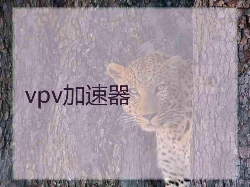 vpv加速器