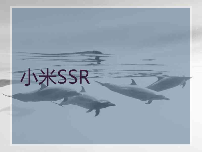 小米SSR