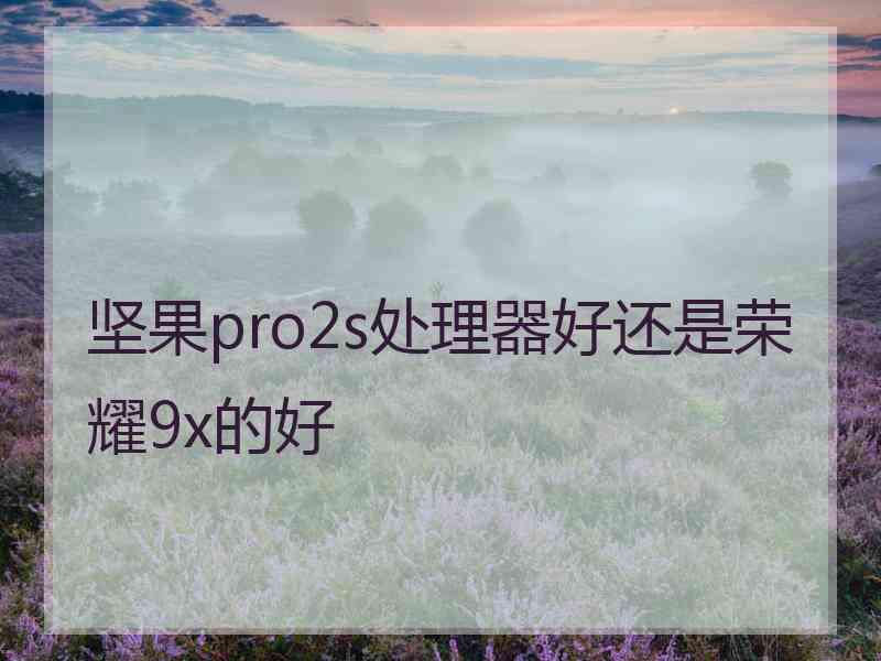 坚果pro2s处理器好还是荣耀9x的好