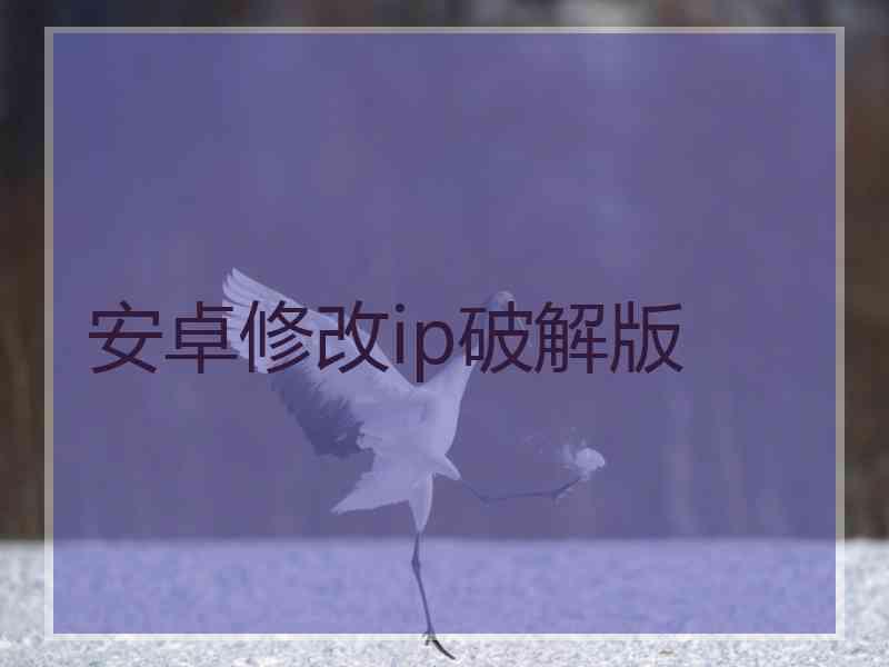 安卓修改ip破解版