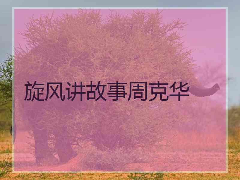 旋风讲故事周克华